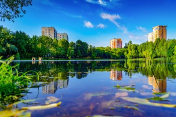 Богдановский пруд. 