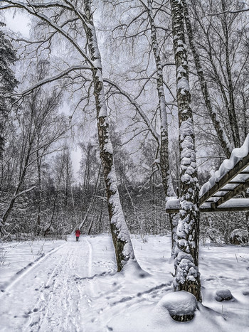 Белое безмолвье 