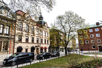 Город в цвету. 