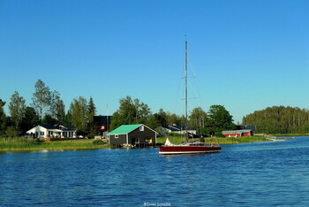 Парусник.