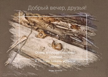 Улиточки