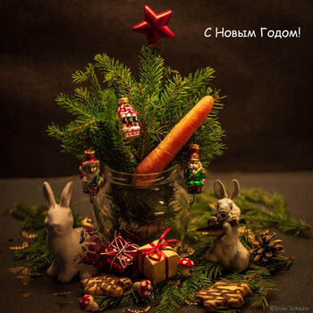 Год Кролика