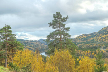Осень