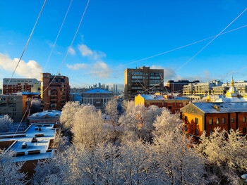 31 декабря 2024 г.
