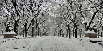 Literary Walk