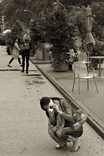 Рaparazzi