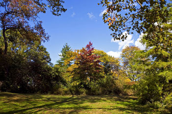 New York City. Central Park.