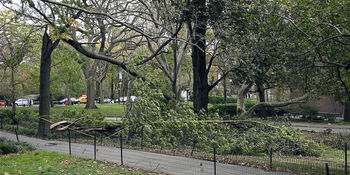 Hurricane Sandy
