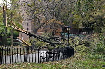 Hurricane Sandy