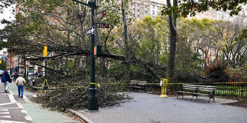 Hurricane Sandy