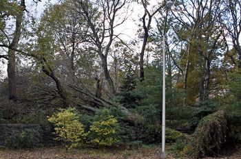 Hurricane Sandy