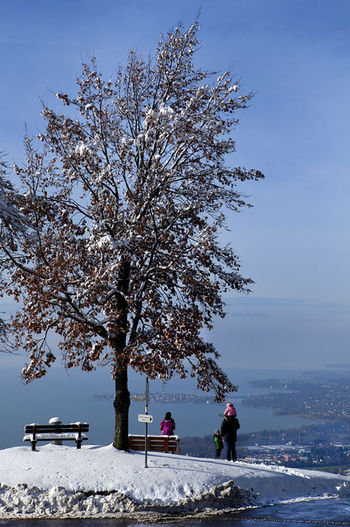 вид на Bodensee