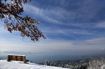 вид на BODENSEE из Австрии