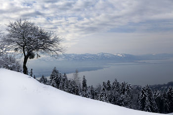 ВИД НА BODENSEE