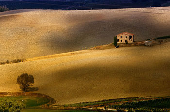 TOSCANA