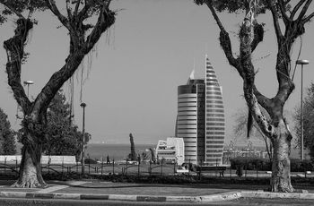 Haifa
