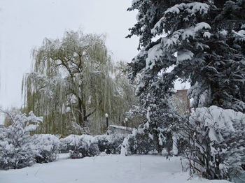 Мартовский снег