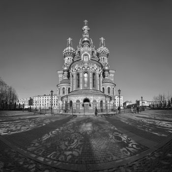 Тени Михайловского сада