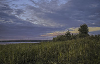 evening / coast