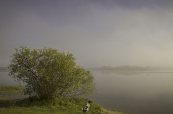 Autumn fogs