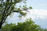   : Без названия 