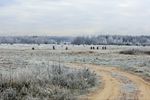 Михаил Праслов : Зиндевевшие дороги ноября 