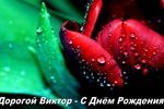 David Barli : Моему Другу Виктору 