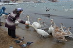 Владимир Панаев : Угощение 