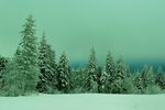 Александр  : Уральская 