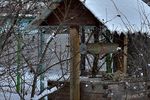 Роман Мовляшев : Источник на рассвете 