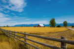 Mikhail & Ella Kusayev : Montana. Wheat field with a farmhouse 