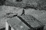 Дарья Жмылёва : город из окна 