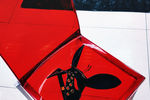   : Mask on red plastic chair 