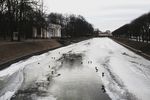 Сергей Руднев : Михайловский сад 
