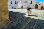 Евгений Лебедев : ПАраменад 