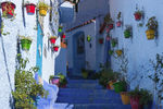   : Into the Blue City 