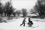 Igor Andreev : untitled 