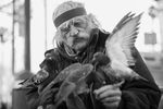 Ilya Faynshteyn : Pigeon Man 