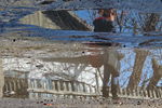 Galya Chsherbina : Весна... 