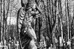 Сергей  : Ангел 