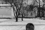 Марина-Юнона Алекнавичус : Одиночество 