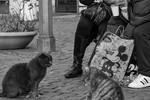 Vladimir Borisov : Ну что мышь, разберемся?! 