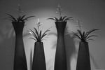 Vladimir Gudkov : Untitled 