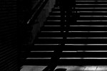 Владимир Громов : B+W 