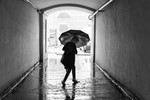 Антон Огородов : Укрытие 