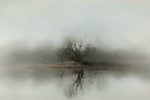 Алексей Лебедев : Весна. Туман... 