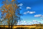 Александр Жураковский : Средняя полоса 