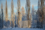 Andrey Andreev : gfhr 