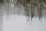Анастасия Buzeeva : Призраки зимнего леса 