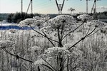 Татьяна Поднебесная : Дирижер 